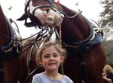 Oče fotografiral hčerko pred konjem. Ko so videli tole, niso mogli verjeti svojim očem!