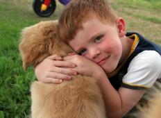 6-letnemu dečku umrl kužek. S svojimi besedami je pustil brez besed starše in veterinarja
