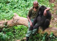 Gorila z zlomljenim srcem je izgubila svojo mamo. Približal se ji oskrbnik in sledil je izjemno ganljiv trenutek!